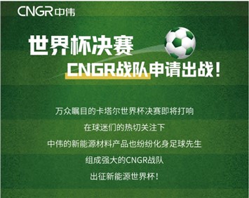 世界杯決賽 | CNGR戰(zhàn)隊申請出戰(zhàn)！